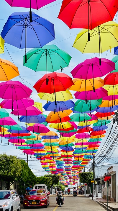 Multicolor umbrella group
